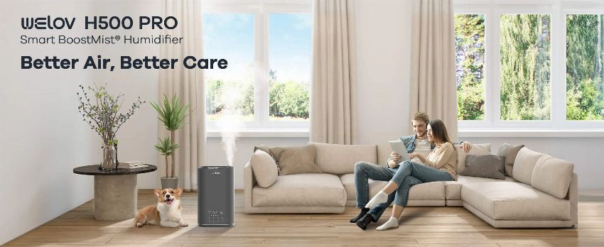 Discount code for 50% discount Welov H500 PRO Long-Lasting Humidifier at AiDot Inc