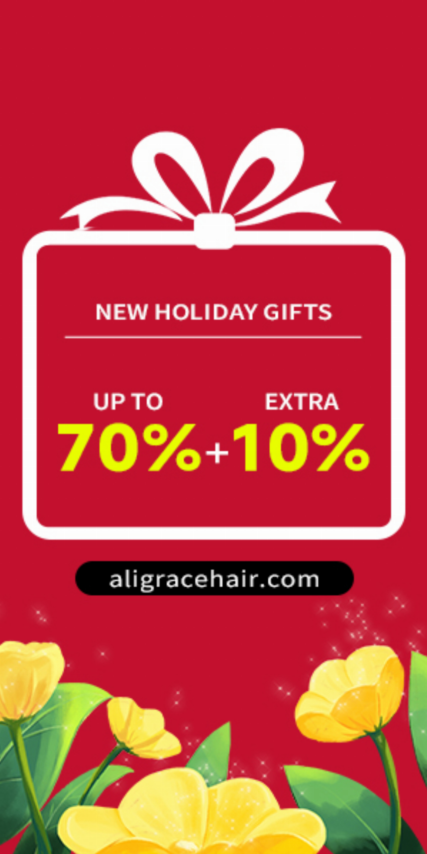 Discount code for Ali Grace Hair New Holiday Gifts UP TO 70% discount at Ali Grace Hair