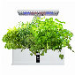 Discount code for 49% discount 39 99 Smart Hydroponics Growing System Indoor Herb Garden Kit free shipping at Cafago