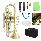 Discount code for 80% discount Clearance 75 84 LADE Professional Bb Flat Cornet Brass Instrument free shipping at Cafago