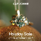 Discount code for Holiday sale at Capucinne d o o