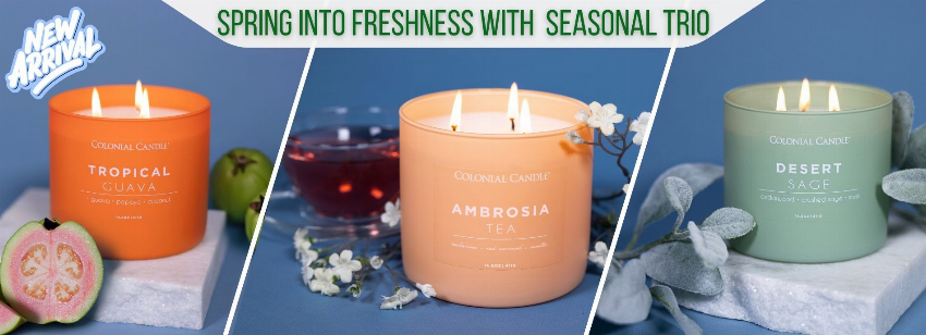 Discount code for Ambrosia Tea Desert Sage and Tropical Guava at Colonial Candle