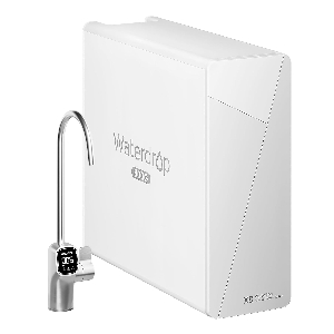 Discount code for Save 240 off on at Ecolife Technologies Inc