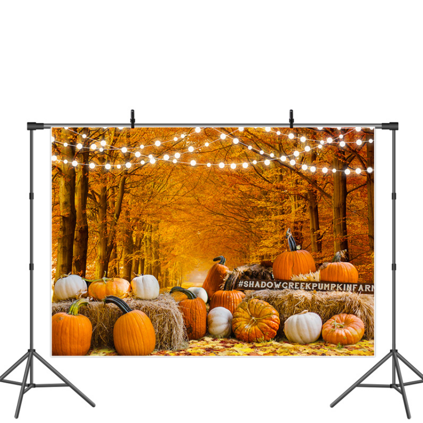 Discount code for 50% discount Lofaris Autumn Backdrop only 12 for Photo Free Shipping at Lofarisbackdrop
