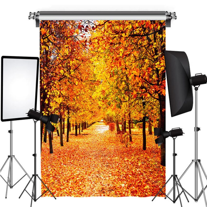 Discount code for 50% discount Lofaris Sweep Backdrop Autumn only 12 Photography Free Shipping at Lofarisbackdrop