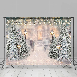 Discount code for Lofaris Winter Backdrop 50% discount 12 for Family Photo Free Shipping at Lofarisbackdrop