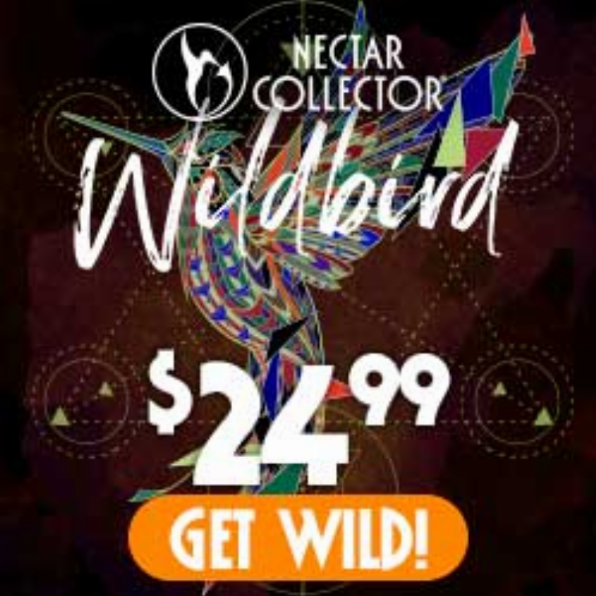 Discount code for Fly high on the wild side with the Nectar Collector Wildbird Kit Get Wildbird 24 99 at Nectar Collector