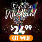 Discount code for Fly high on the wild side with the Nectar Collector Wildbird Kit Get Wildbird 24 99 at Nectar Collector