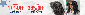 Discount code for Tax Refund Season Extra 23% discount Over 159 at QVR ERNATIONAL