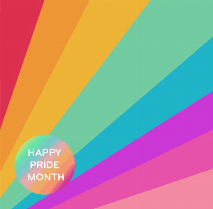Discount code for Happy Pride Month at rosetoy-official