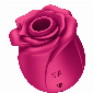Discount code for 10% Satisfyer Pro 2 Classic Blossom Rose Clitoral Vibrator at Shenzhen Venusfun Co Ltd