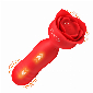 Discount code for 15% Rose Delight Thrusting Vibrator Double Ended Stimulator at Shenzhen Venusfun Co Ltd