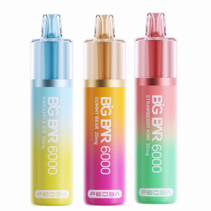 Discount code for 15% discount for 5 Packs Feoba Big Bar 6000 Disposable Vape at VapeSourcing uk