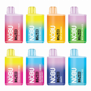 Discount code for Warehouse 22% discount for Nobu Disposable Vape Kit 600 Puffs at VapeSourcing uk