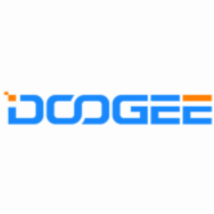 DOOGEE HOLDINGS LIMITED