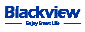 www blackview hk