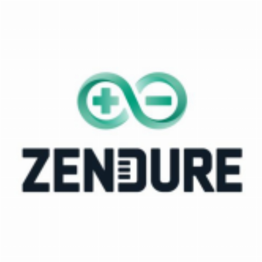 Zendure Marketing